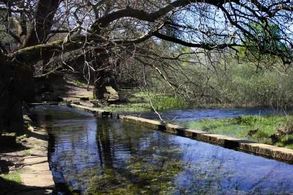  Ρομάντζο και πικνίκ στις πηγές του Κηφισσού στο Πολύδροσο