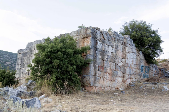 Αρχαία Πέλιννα