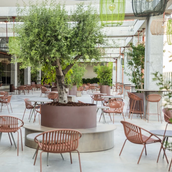 Urban Roof Garden