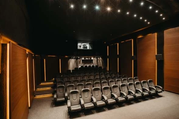 Grouper Cinemas