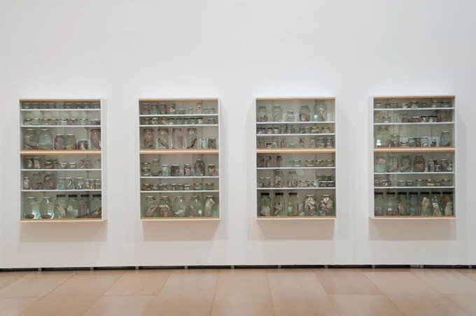 Δωρεά Συλλογής Δ. Δασκαλόπουλου Tate Λονδίνο, Damien Hirst