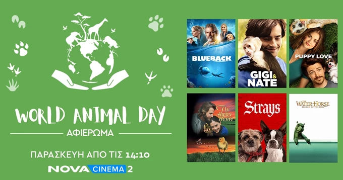 World Animal Day, Nova