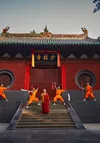 Shaolin Kung Fu - The Original