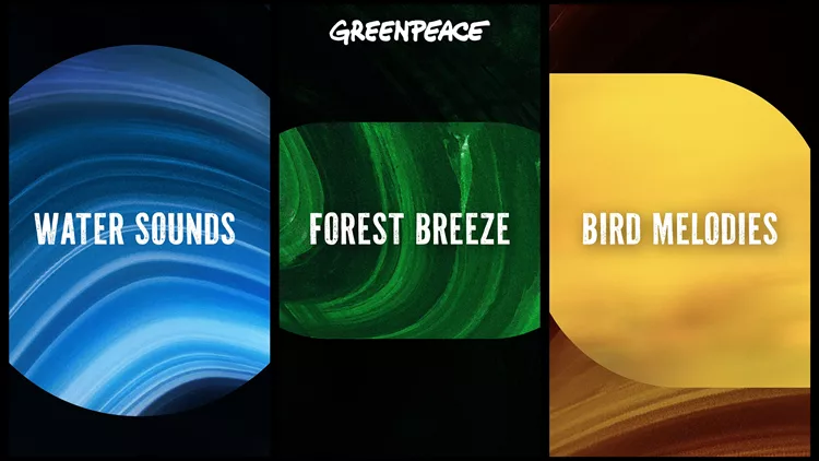 Greenpeace nature sounds