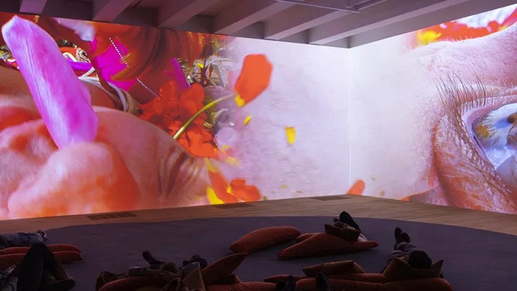 Pipilotti Rist, Δωρεά Συλλογής Δ. Δασκαλόπουλου στην Tate