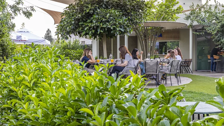 'Fellows': Comfort dining στον αστικό κήπο της Ριζάρη